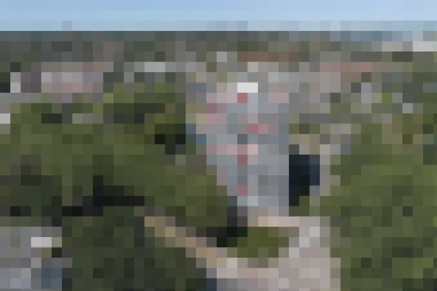 de la Reijstraat 460 Ridderkerk thumbnail 28