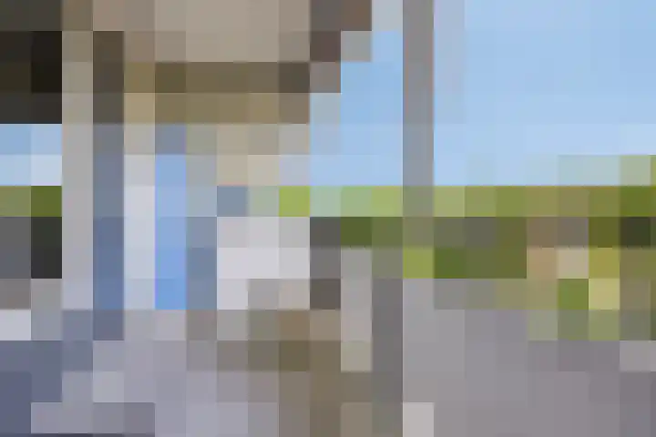 de la Reijstraat 480 Ridderkerk thumbnail 13