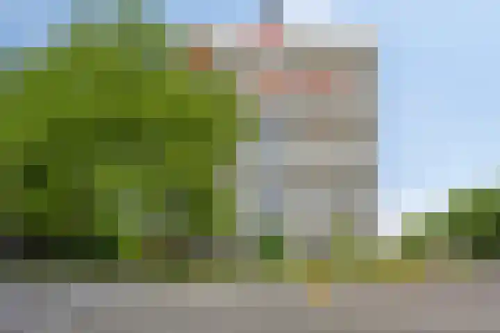 de la Reijstraat 480 Ridderkerk thumbnail 17