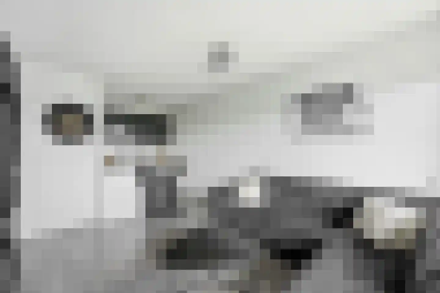 de la Reijstraat 504 Ridderkerk thumbnail 7