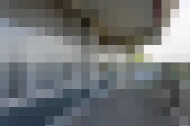 de la Reijstraat 512 Ridderkerk thumbnail 9