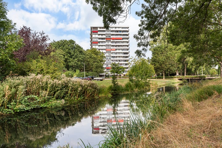 de la Reijstraat 520 en Ridderkerk foto