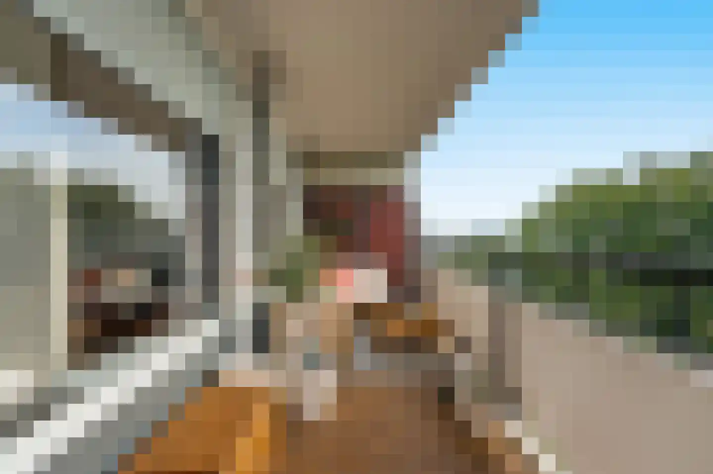 de la Reijstraat 540 Ridderkerk thumbnail 15