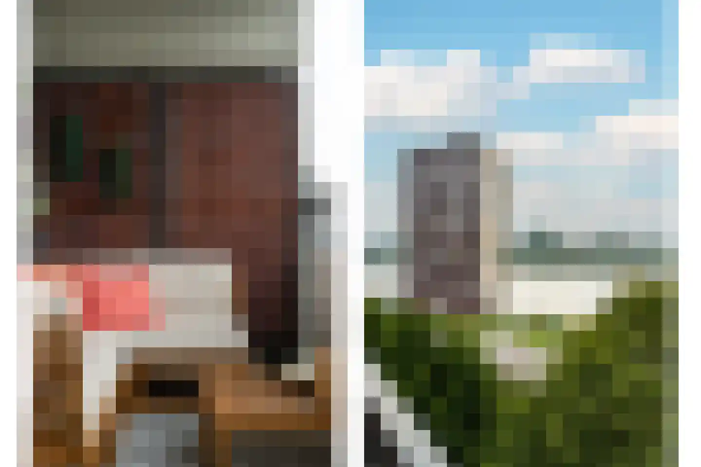 de la Reijstraat 540 Ridderkerk thumbnail 16