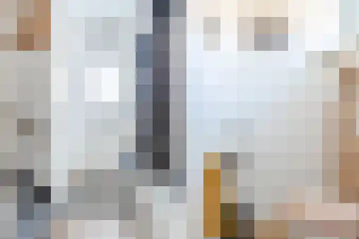 de la Reijstraat 6 Ridderkerk thumbnail 11