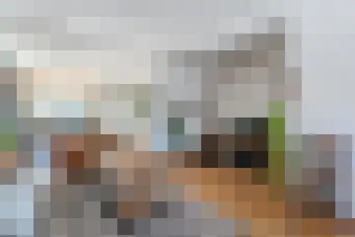 de la Reijstraat 6 Ridderkerk thumbnail 14
