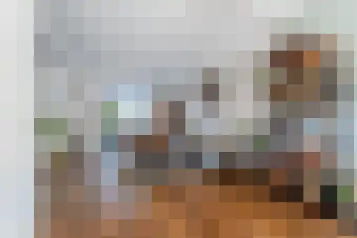 de la Reijstraat 6 Ridderkerk thumbnail 17