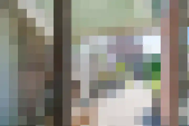 de la Reijstraat 6 Ridderkerk thumbnail 23