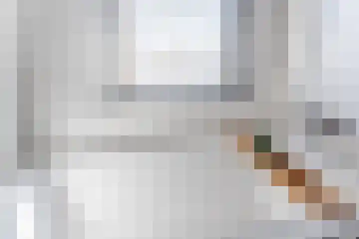 de la Reijstraat 6 Ridderkerk thumbnail 33