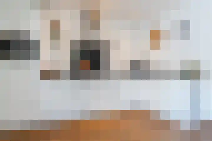 de la Reijstraat 6 Ridderkerk thumbnail 4