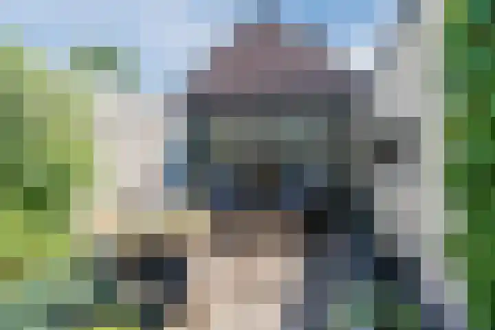de la Reijstraat 6 Ridderkerk thumbnail 45