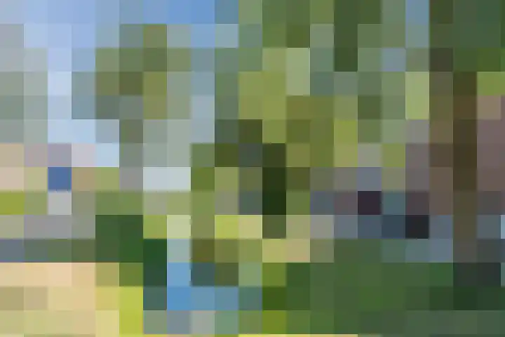 de la Reijstraat 6 Ridderkerk thumbnail 51