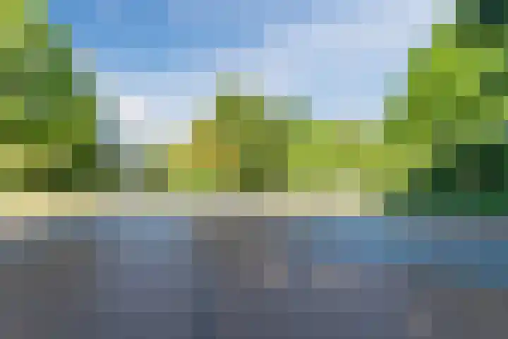 de la Reijstraat 6 Ridderkerk thumbnail 53
