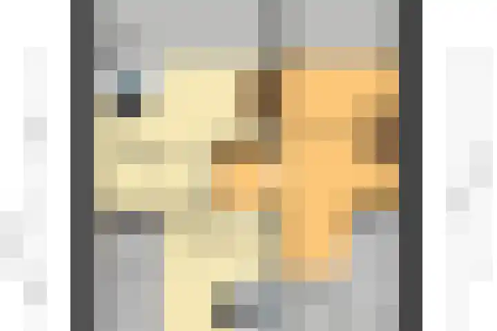 de la Reijstraat 6 Ridderkerk thumbnail 57