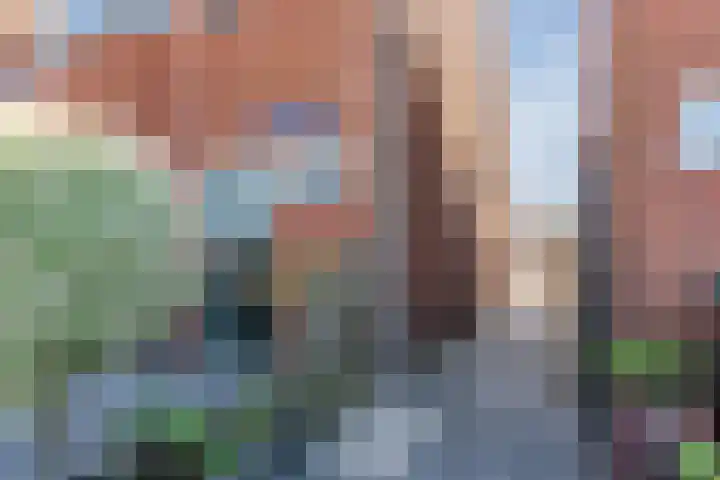 de la Reijstraat 6 Ridderkerk thumbnail 8