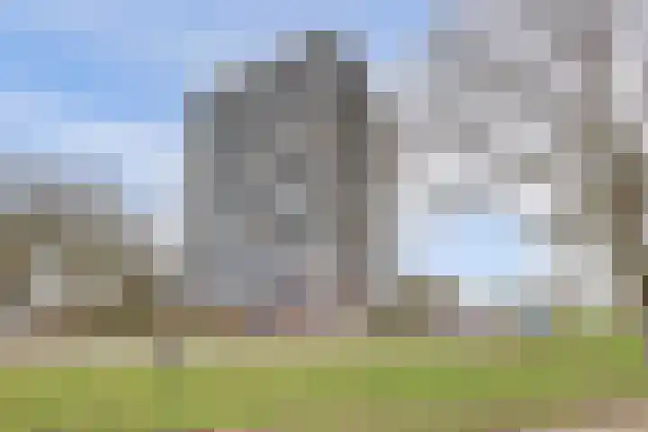 de la Reijstraat 610 Ridderkerk thumbnail 32