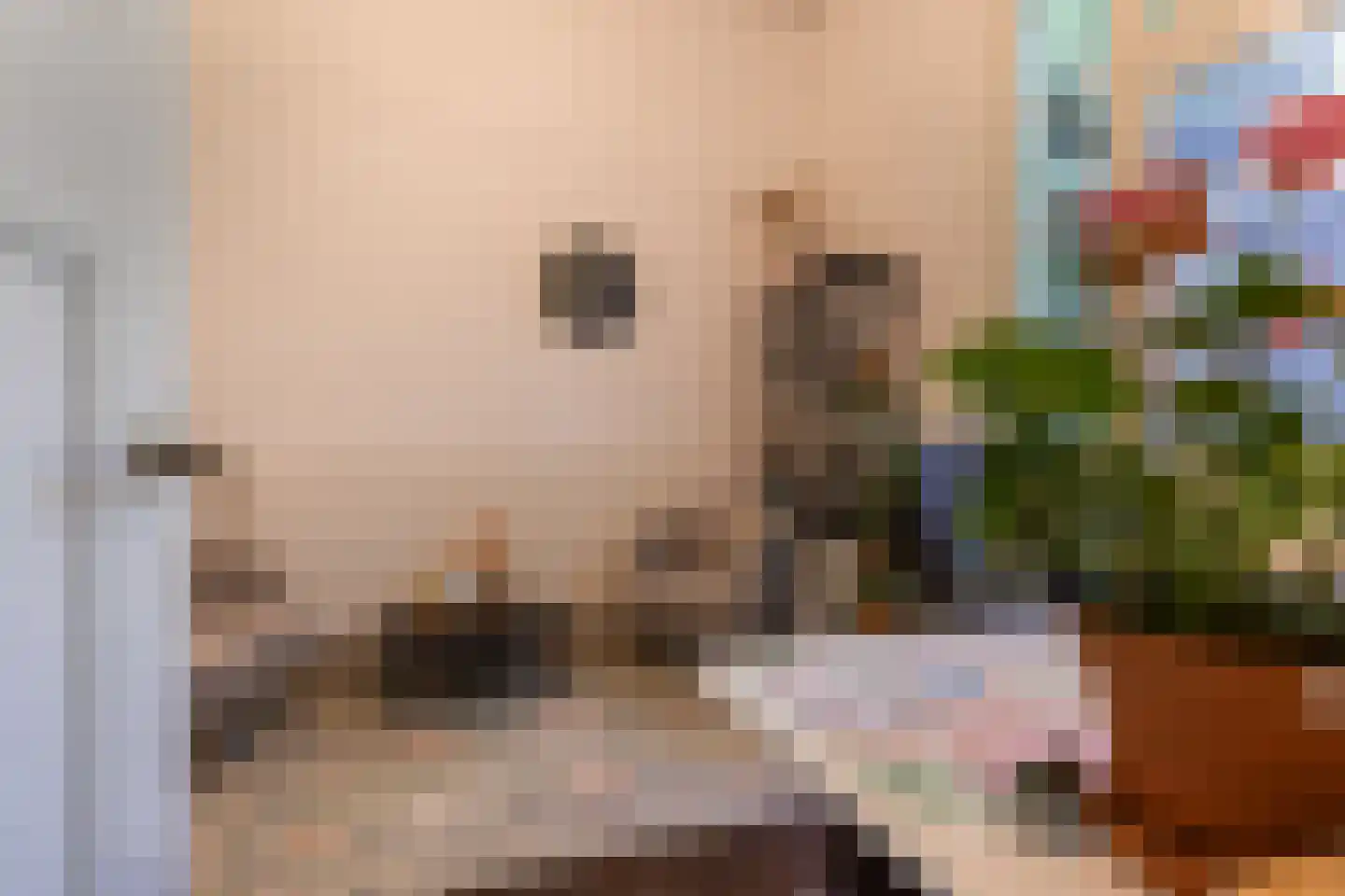 De la Reijstraat 7 Arnhem thumbnail 17