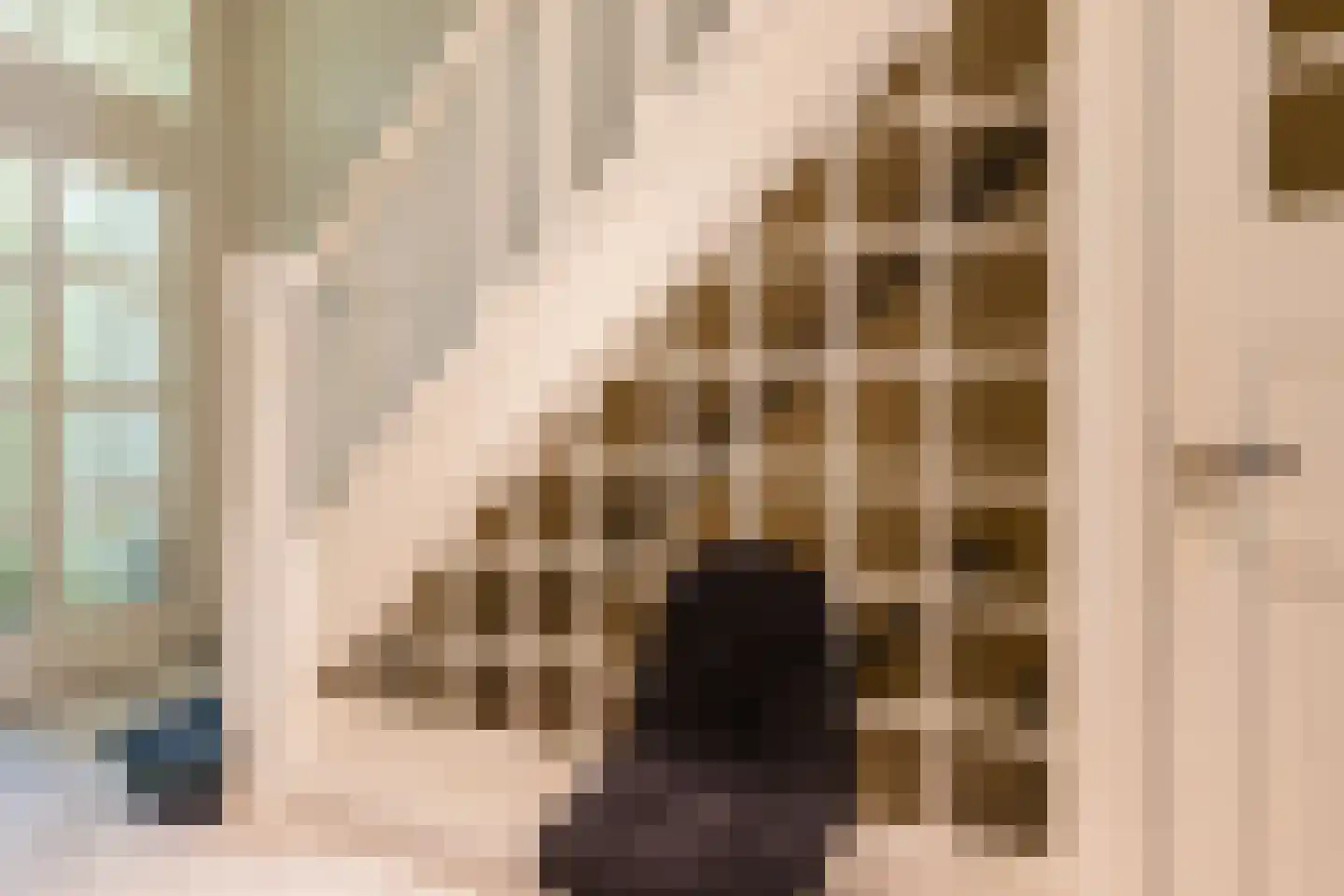 De la Reijstraat 7 Arnhem thumbnail 7