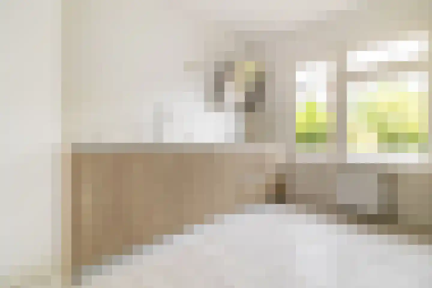 de la Reijweg 22 Breda thumbnail 15