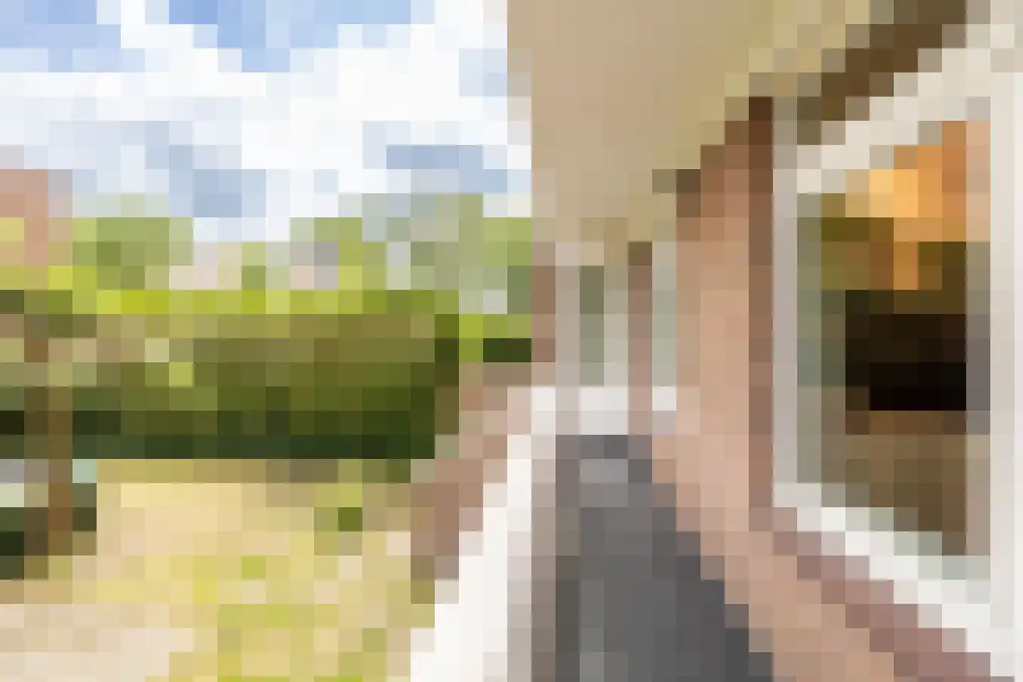 de la Reijweg 22 Breda thumbnail 18