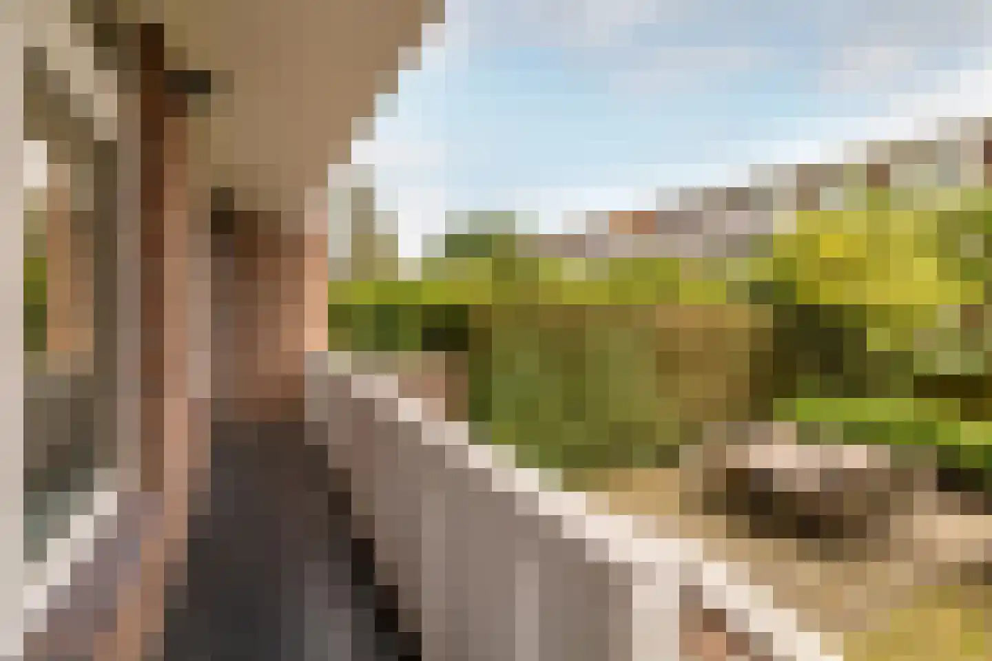 de la Reijweg 22 Breda thumbnail 29