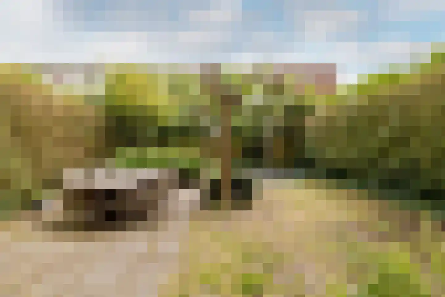 de la Reijweg 22 Breda thumbnail 30