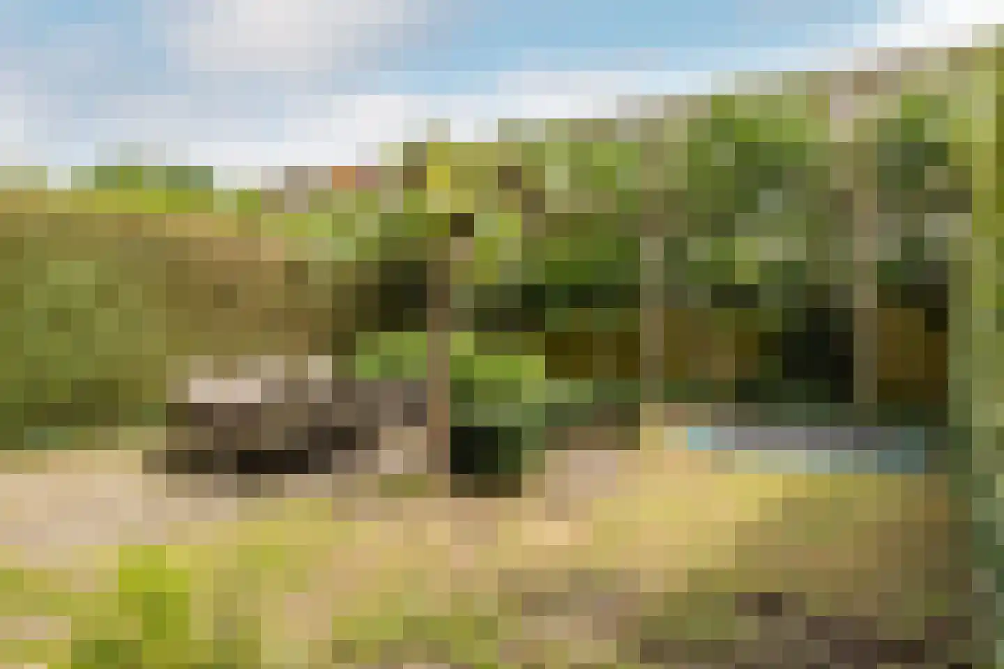 de la Reijweg 22 Breda thumbnail 31