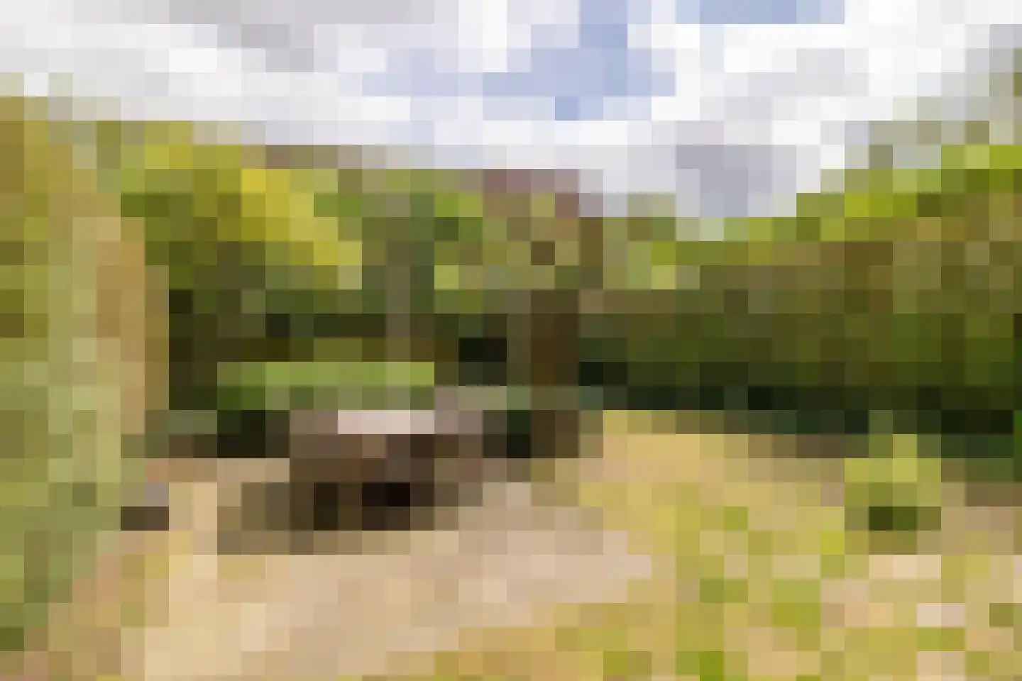 de la Reijweg 22 Breda thumbnail 34