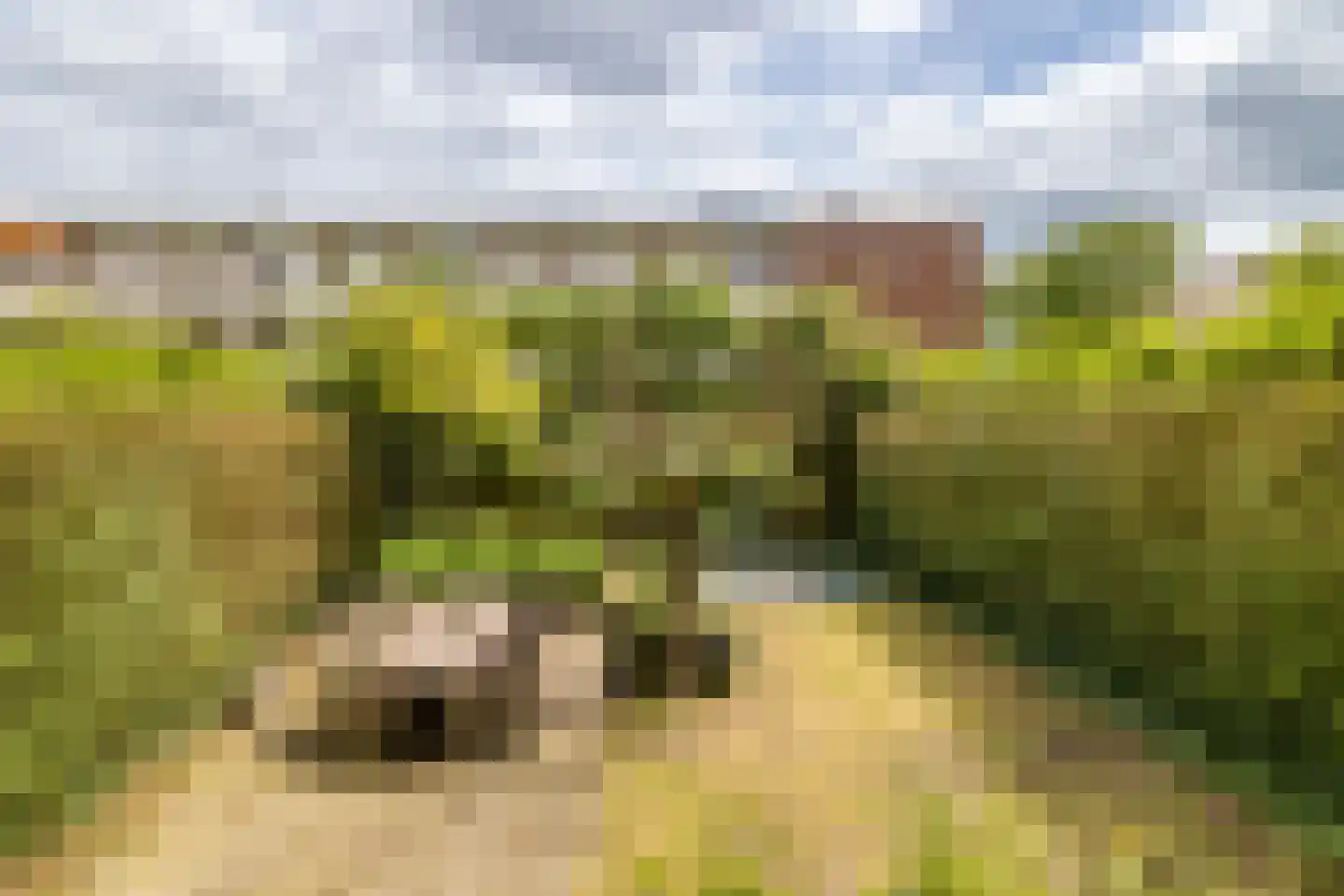 de la Reijweg 22 Breda thumbnail 35