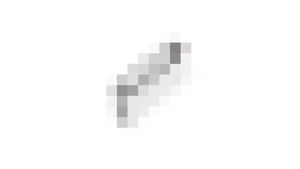 De la Reylaan 12 A BIS Zeist thumbnail 22