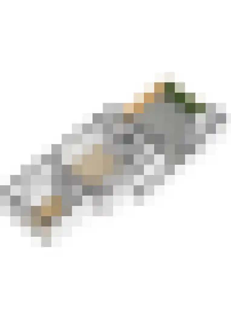 De la Reylaan 12 A Zeist thumbnail 24
