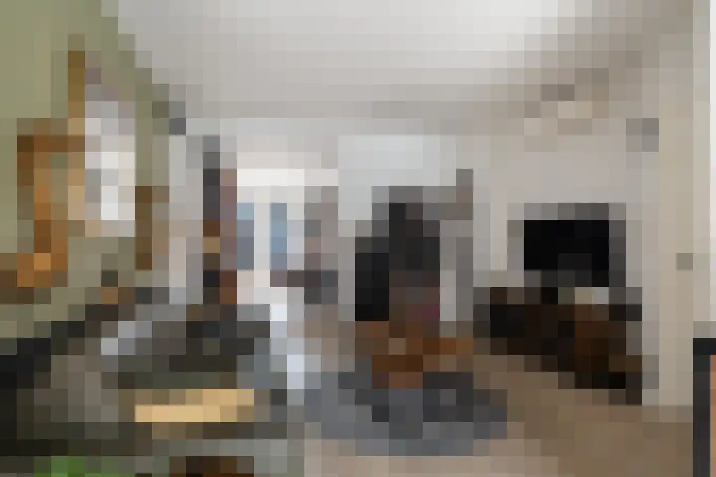De la Reylaan 14 Zeist thumbnail 16