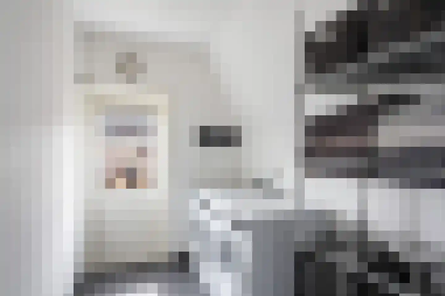 De la Reylaan 14 Zeist thumbnail 30