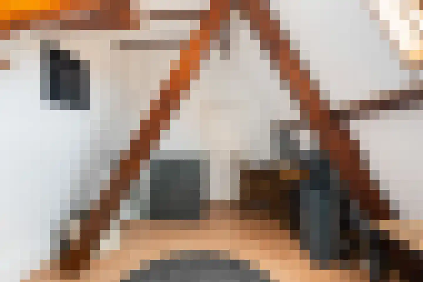 De la Reylaan 14 Zeist thumbnail 40