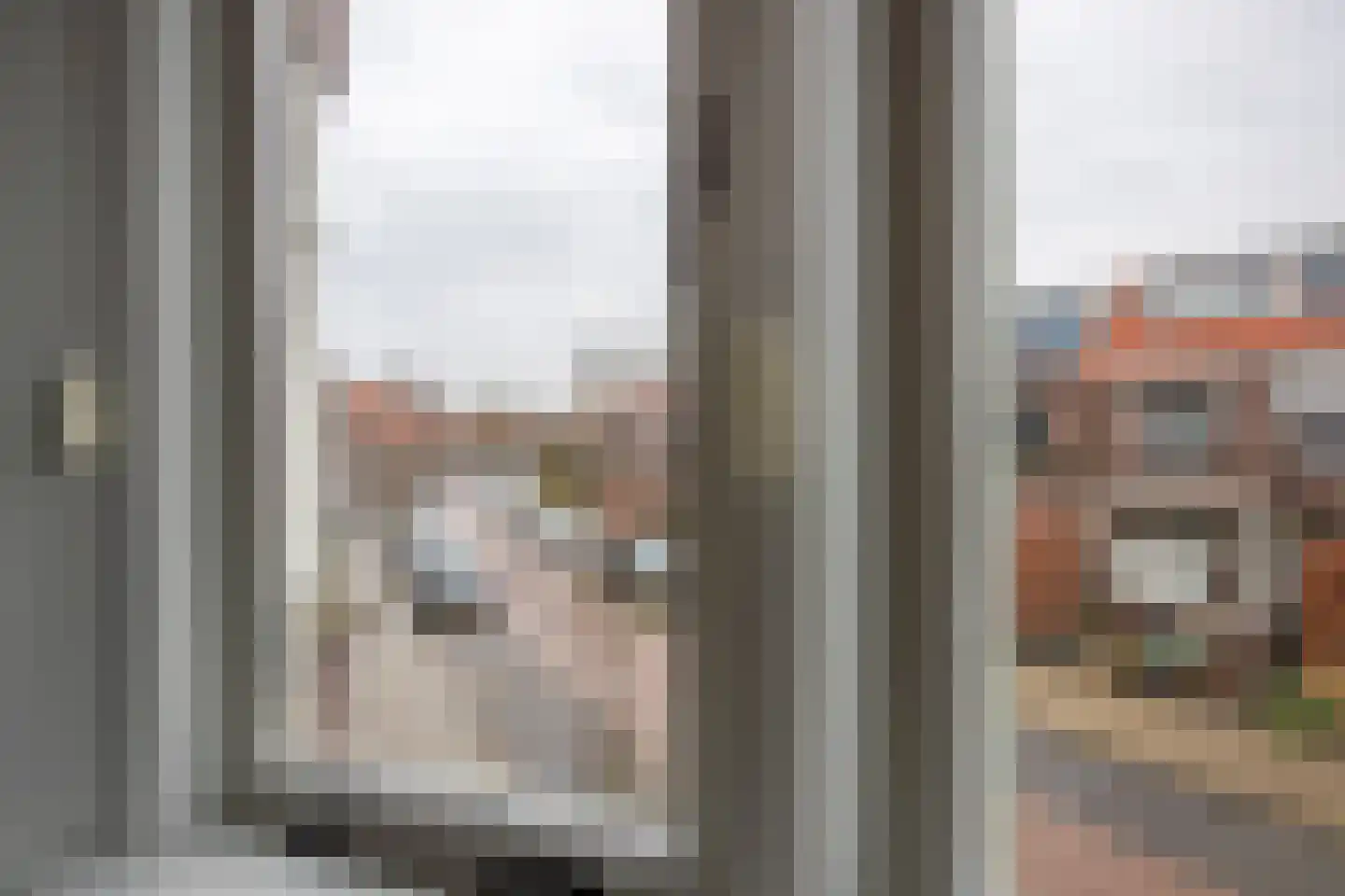 de la Reylaan 36 Gouda thumbnail 30