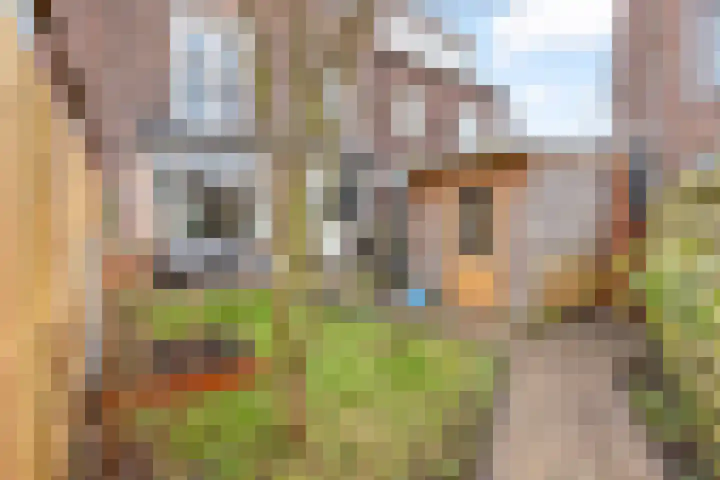 de la Reylaan 36 Gouda thumbnail 4