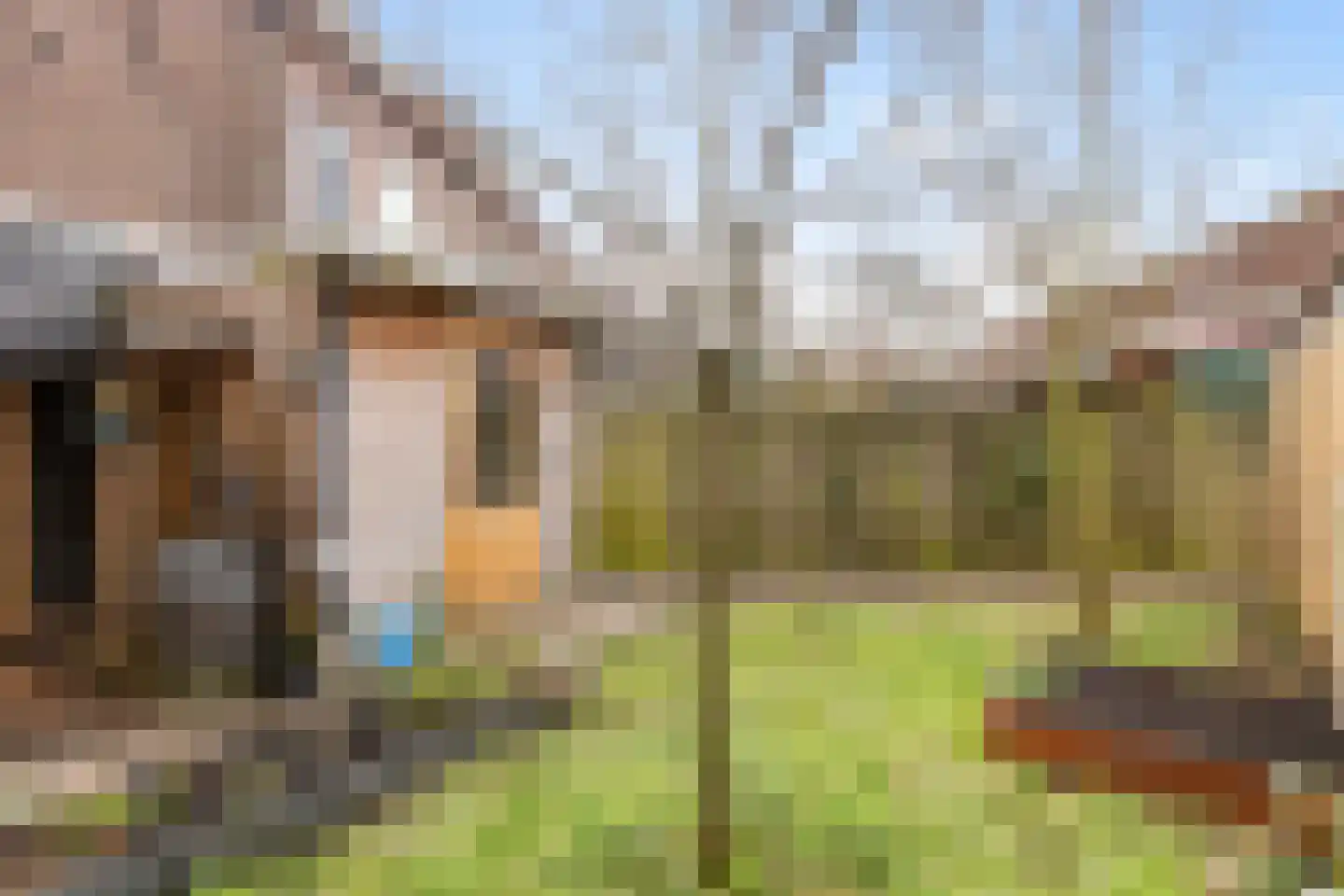 de la Reylaan 36 Gouda thumbnail 54