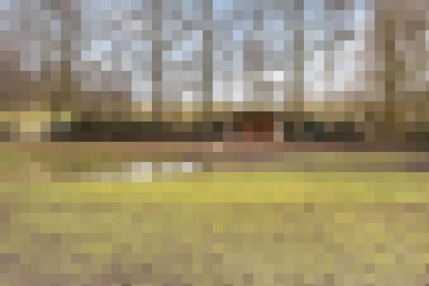 de la Reylaan 36 Gouda thumbnail 64