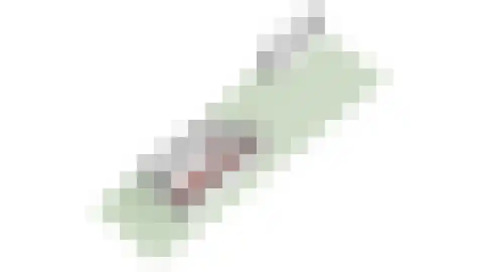 De la Reylaan 36 Zeist thumbnail 32