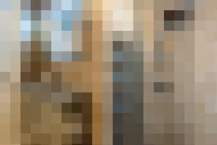 De la Reystraat 116 Ermelo thumbnail 25