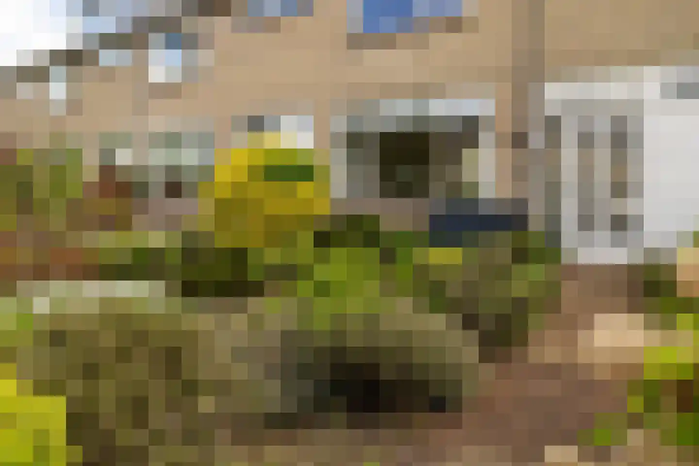 De la Reystraat 17 Ermelo thumbnail 10