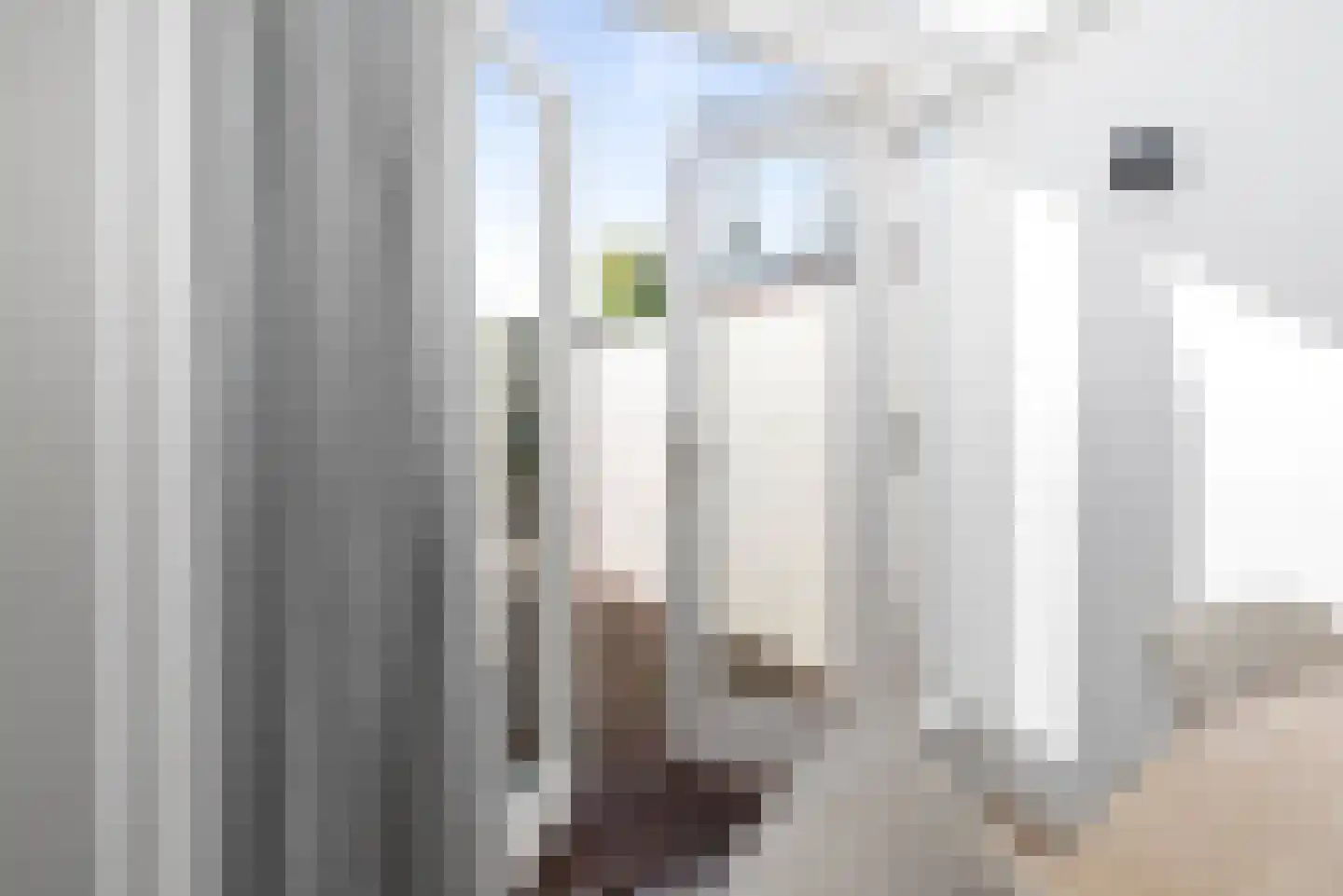 De la Reystraat 22 Den Helder thumbnail 16