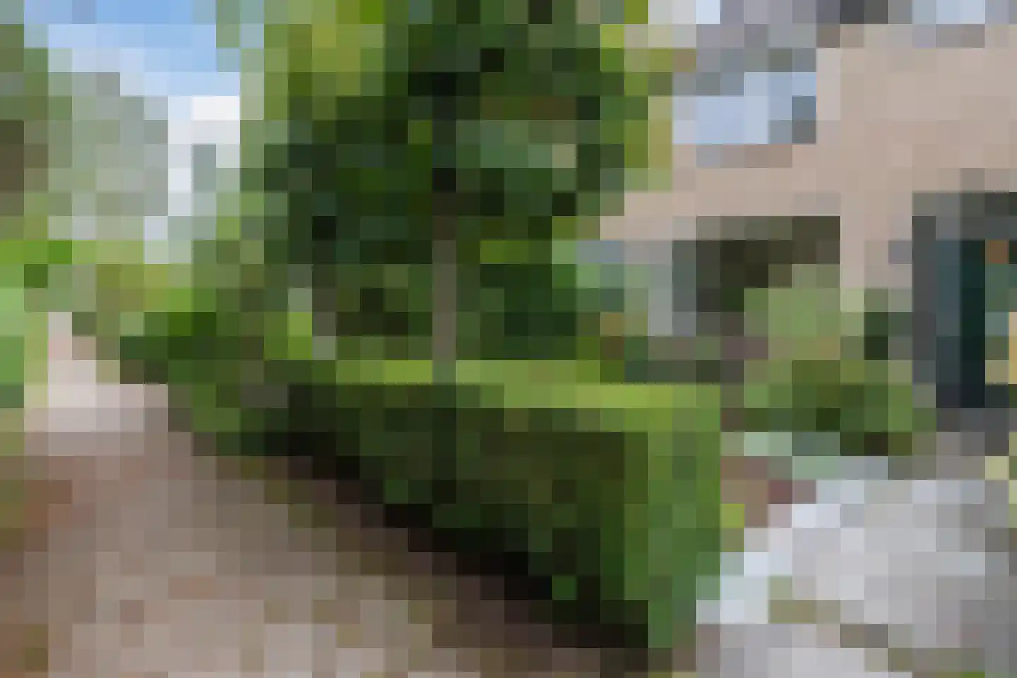 De la Reystraat 42 Ermelo thumbnail 38