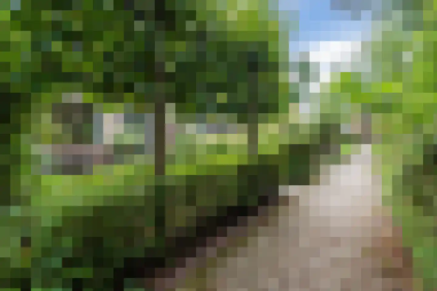 De la Reystraat 42 Ermelo thumbnail 39
