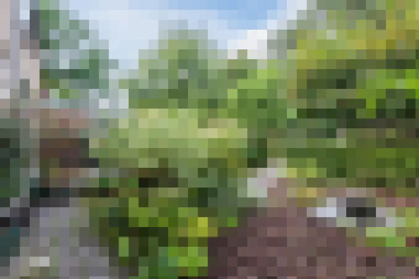De la Reystraat 42 Ermelo thumbnail 9