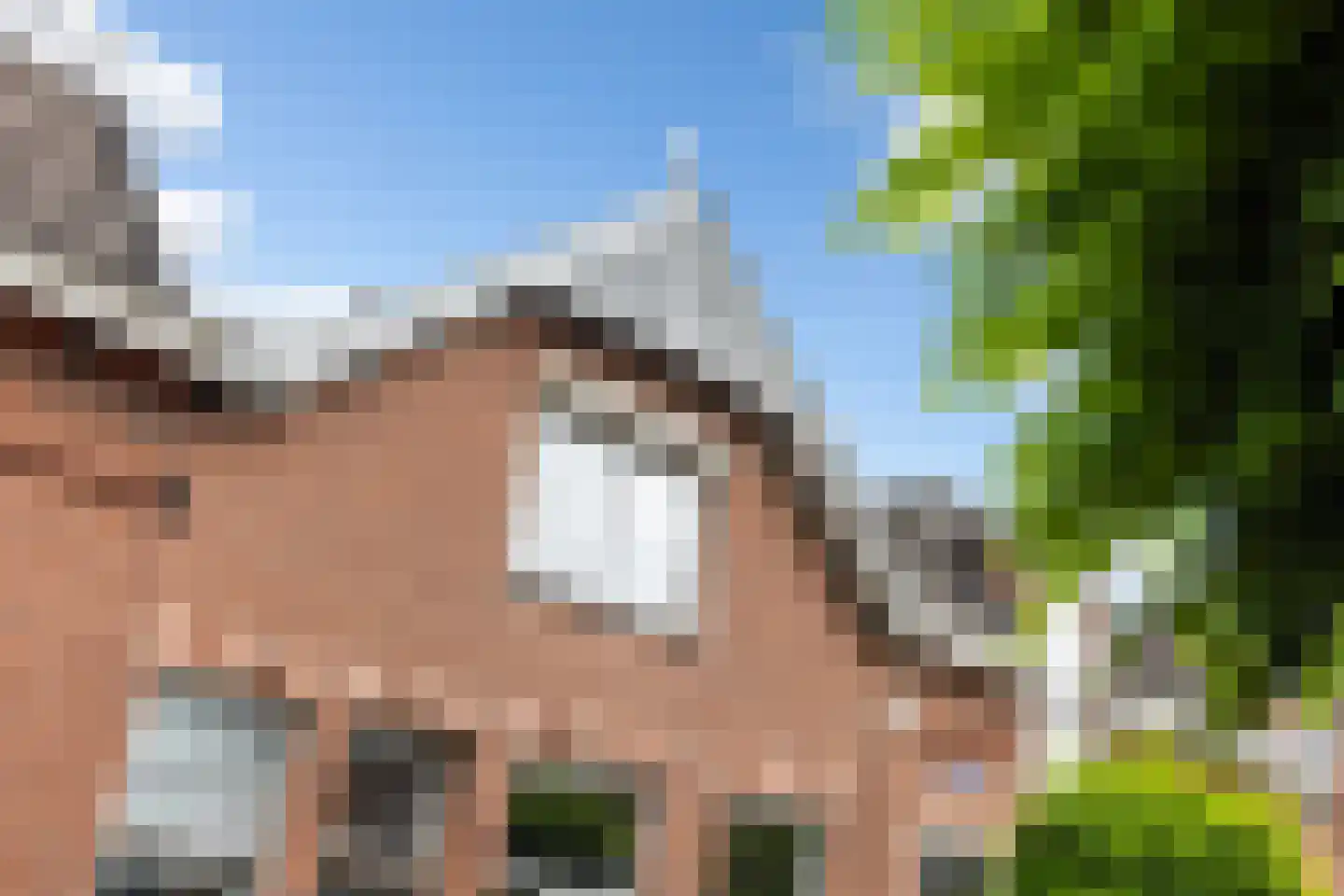 De la Reystraat 6 Dordrecht thumbnail 7