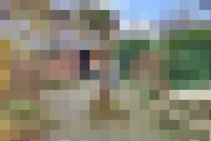 De la Reystraat 61 Ermelo thumbnail 47