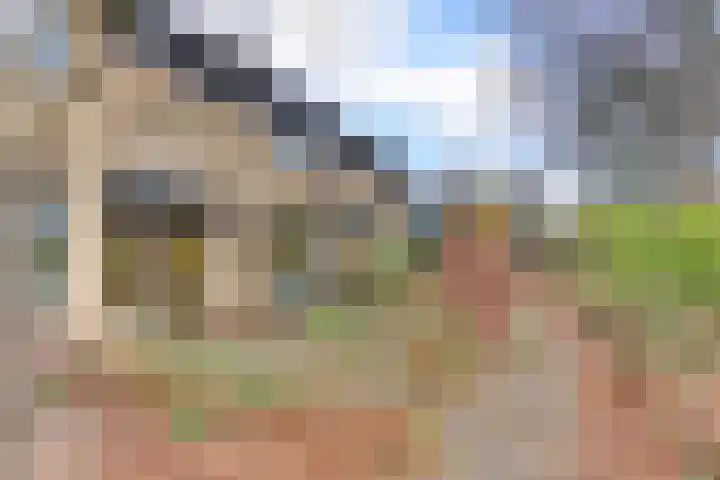 De la Reystraat 61 Ermelo thumbnail 5