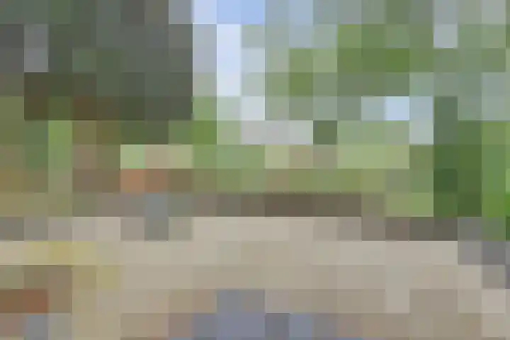 De la Reystraat 65 Ermelo thumbnail 29