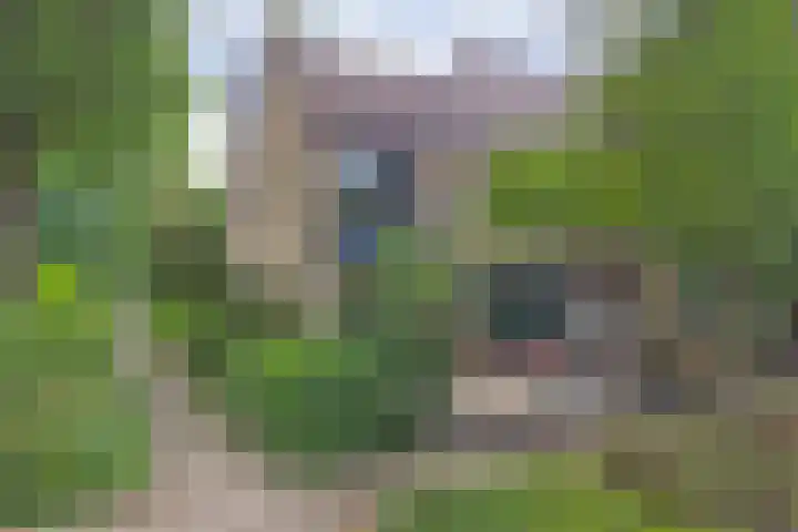 De la Reystraat 65 Ermelo thumbnail 30